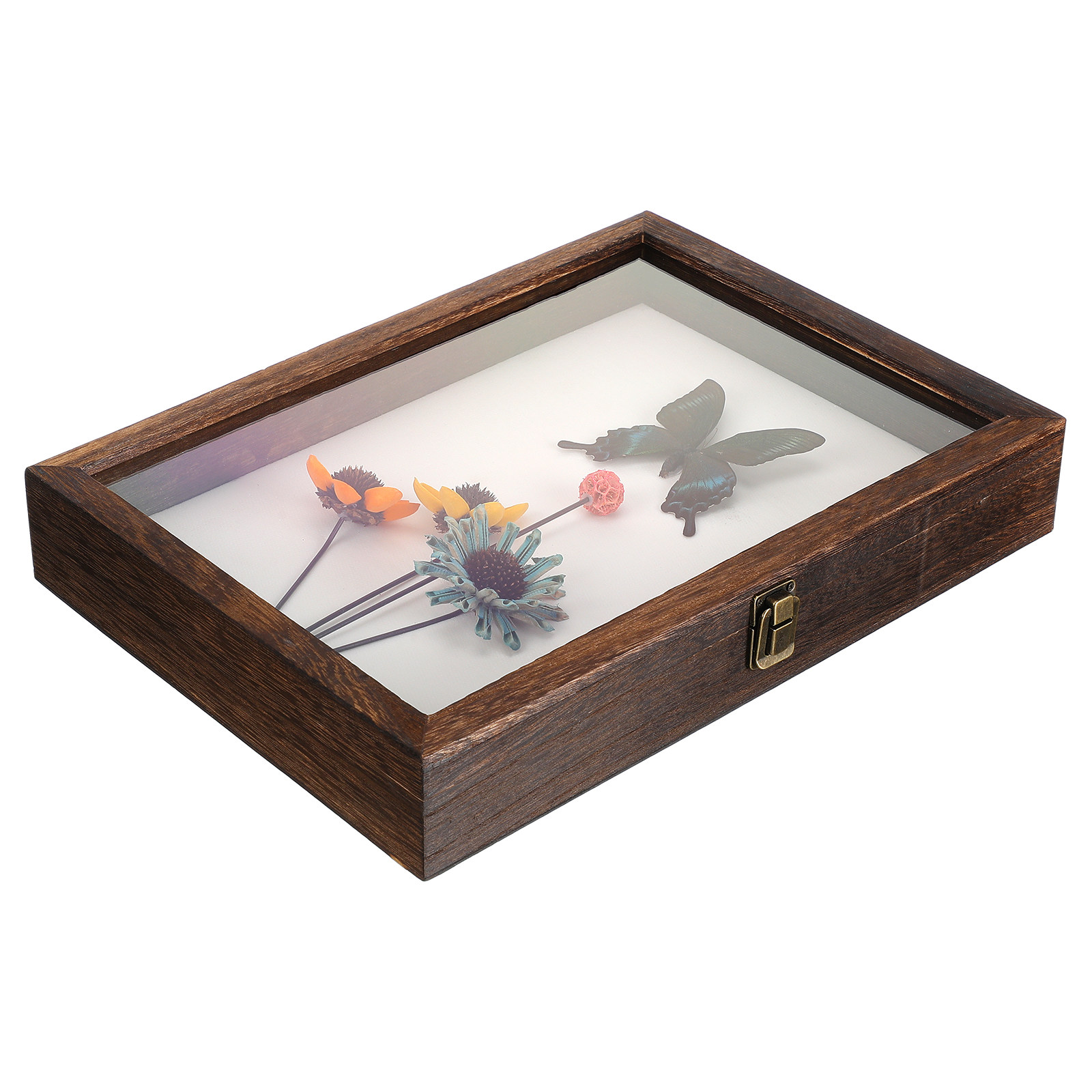 Frame Display Wood - Exemplarrahmen-Gehäuse Hochwertiges Holz Acryl Klare Abdeckung