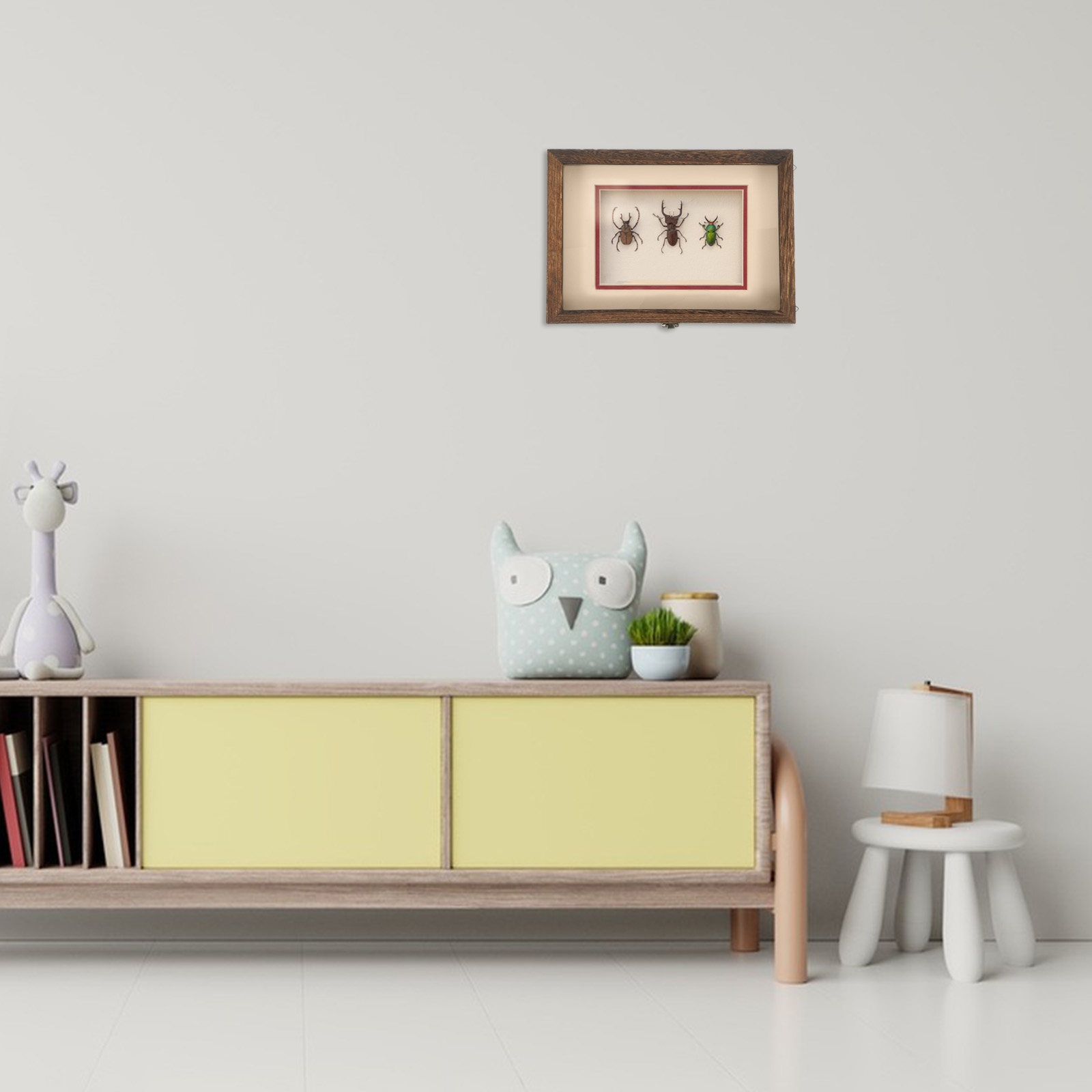 1 Set Retro-Holz-Insektenvitri – Frame Display Wood Bewertung und Preis