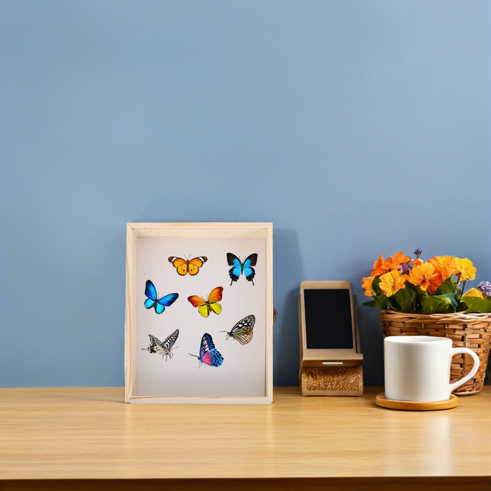 Massivholz-Insekten-Exponatbox – Frame Display Wood Bewertung und Preis