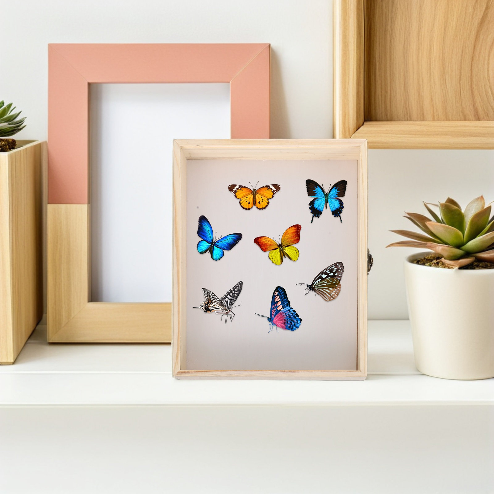 Massivholz-Insekten-Exponatbox – Frame Display Wood Bewertung und Preis