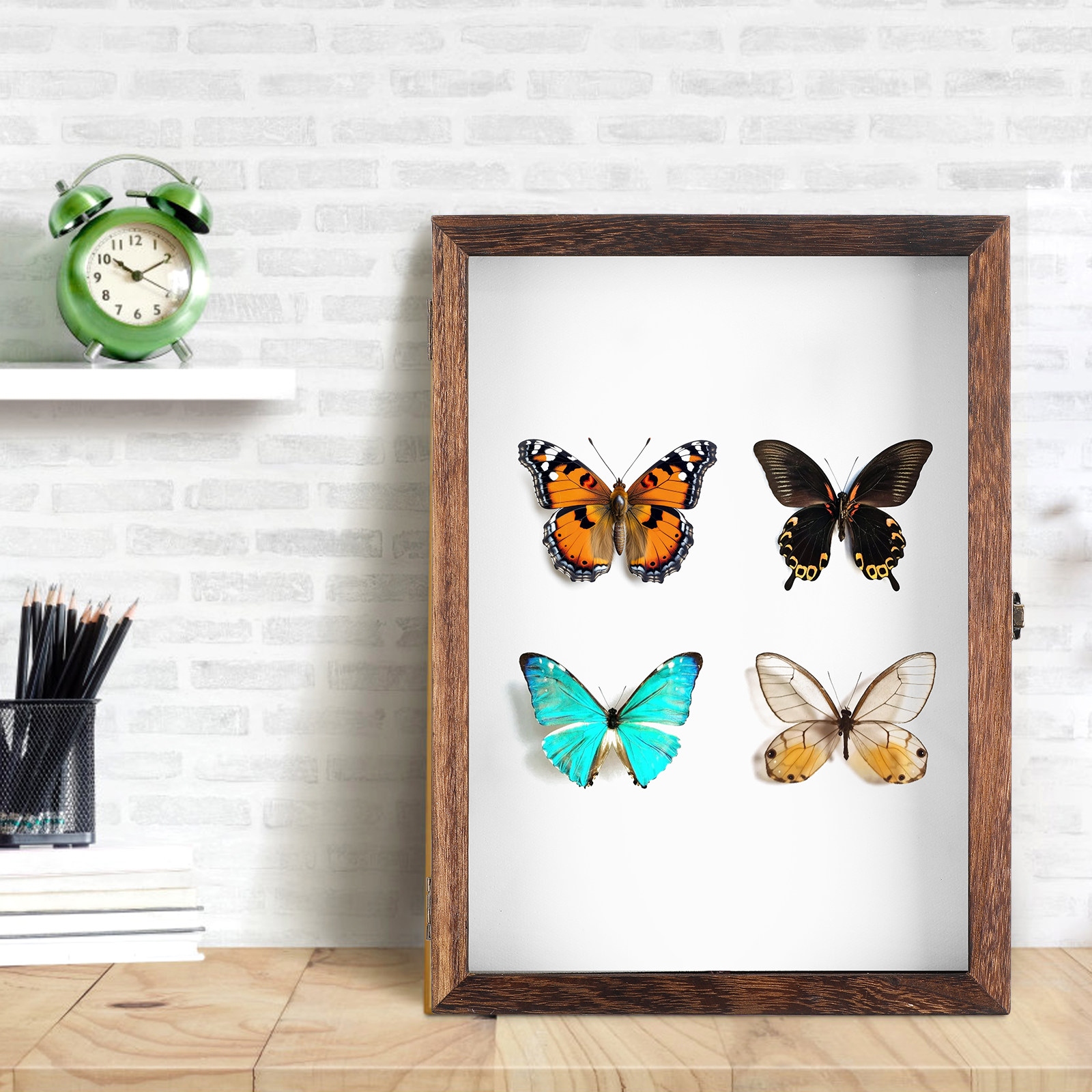 Exemplarrahmen-Gehäuse Hochwer – Frame Display Wood Bewertung und Preis
