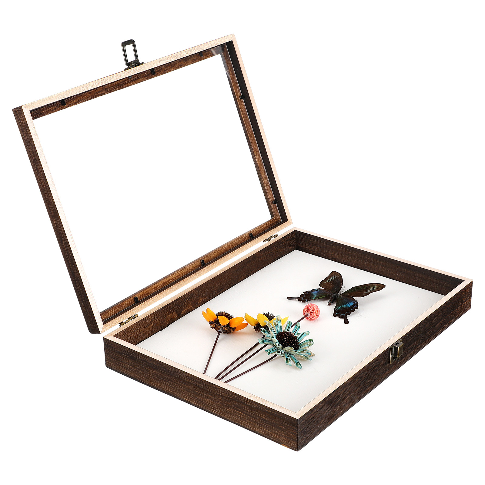 Exemplarrahmen-Gehäuse Hochwer – Frame Display Wood Bewertung und Preis
